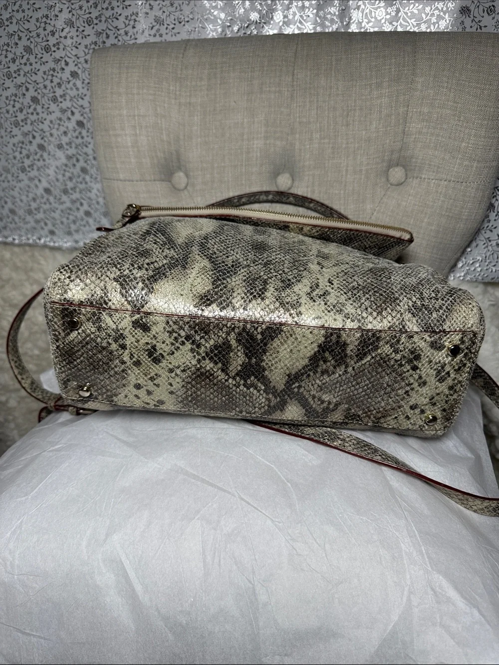 kate spade Snake-Print Shoulder and cross body Bag in Cream & Gray with Red Trim